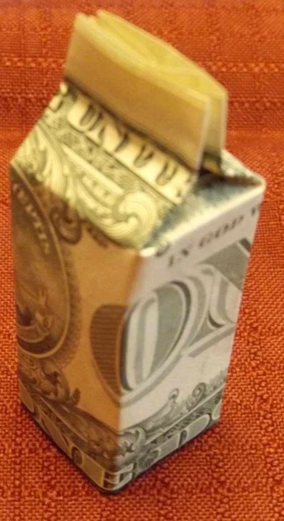 Joshua's-Origami-Folded-$1-Bills